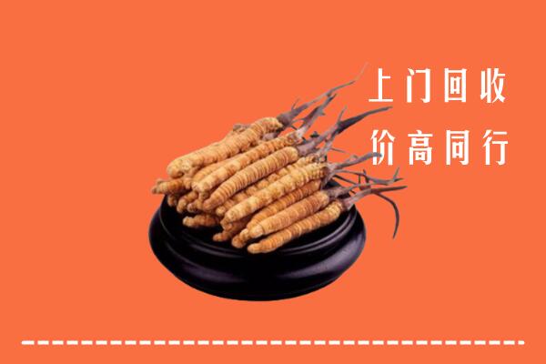 高价求购：白银市回收散虫草