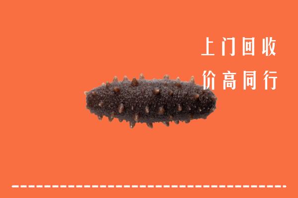 高价求购：白银市回收海参