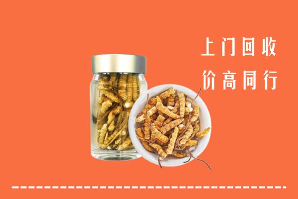 白银市回收冬虫夏草